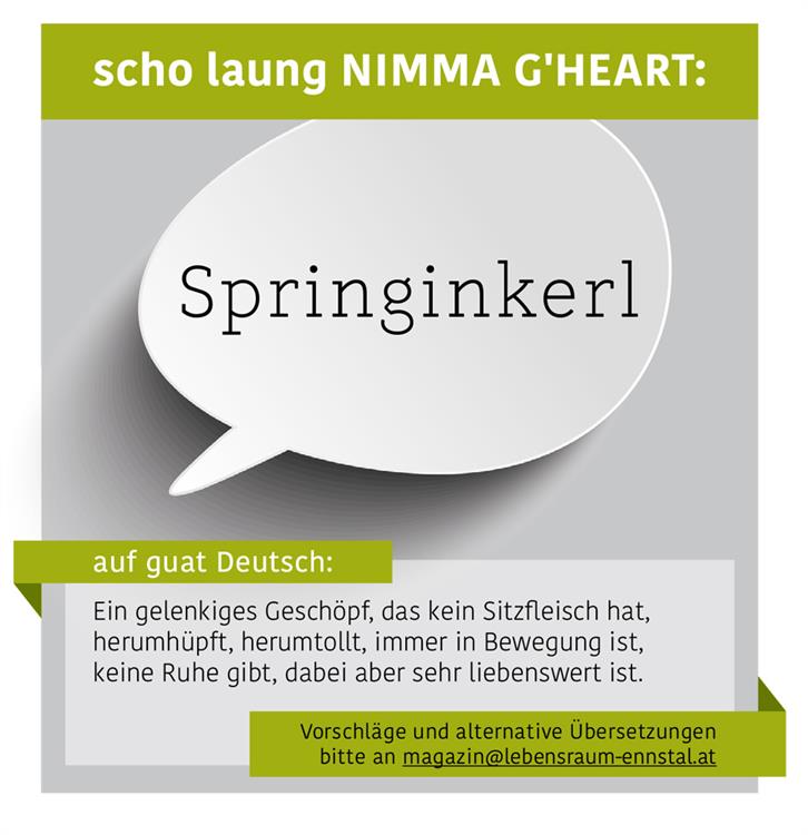 Wort_Springinkerl